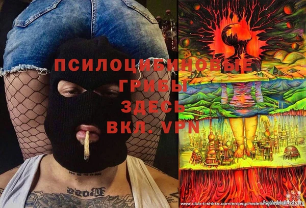 мдпв Гусев