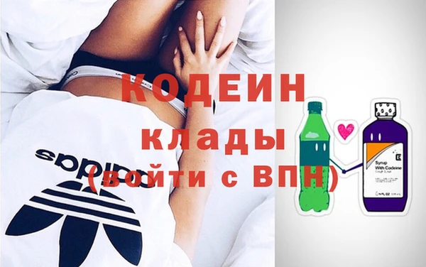 мдпв Гусев