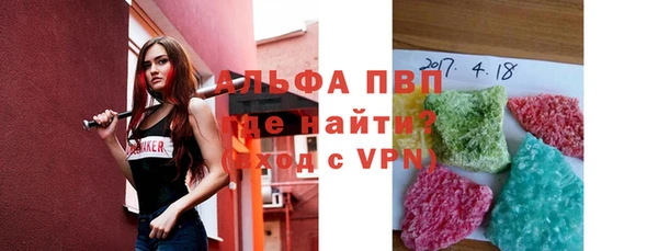 мдпв Гусев