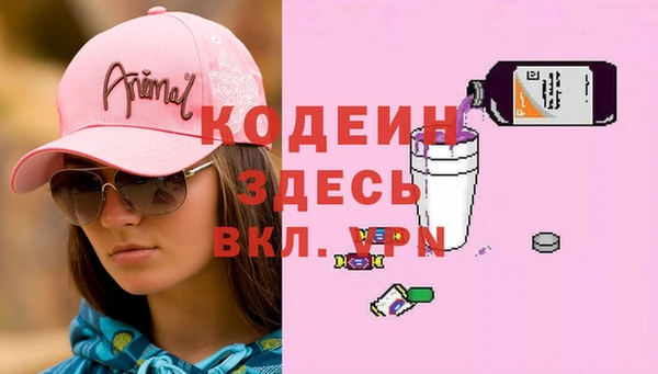 мдпв Гусев