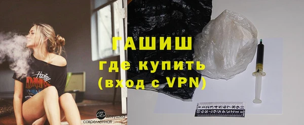 мдпв Гусев