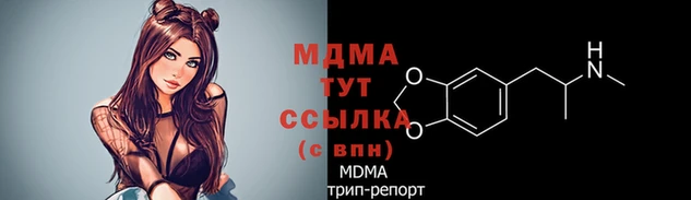 мдпв Гусев
