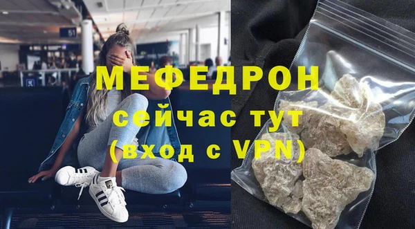 мдпв Гусев