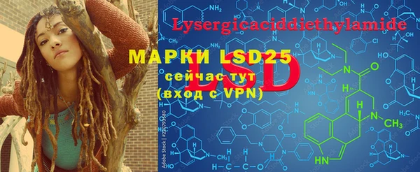 мдпв Гусев