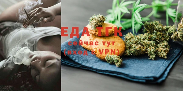 мдпв Гусев