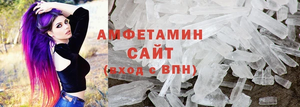 мдпв Гусев