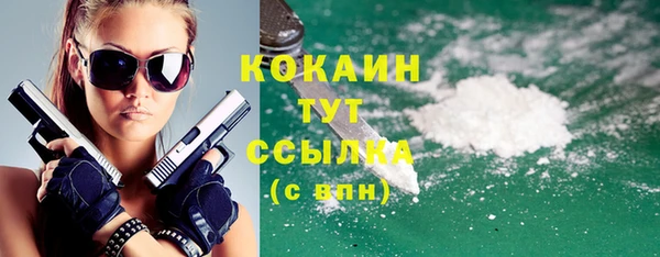 мдпв Гусев