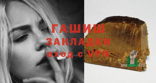 мдпв Гусев