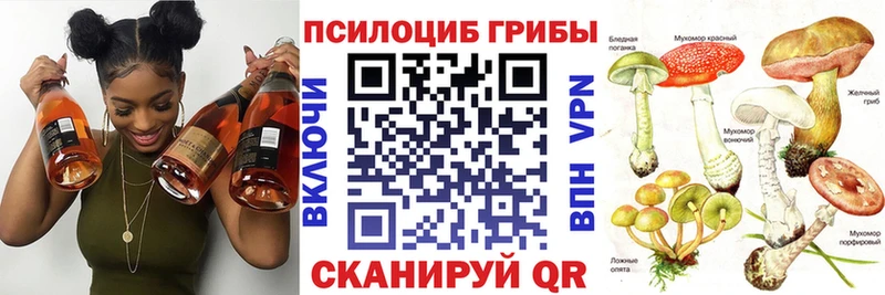 гидра ССЫЛКА  где купить   Облучье  Галлюциногенные грибы Psilocybine cubensis 